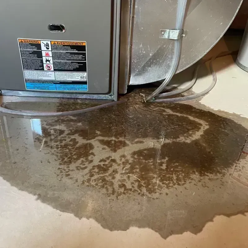 Appliance Leak Cleanup in Velva, ND